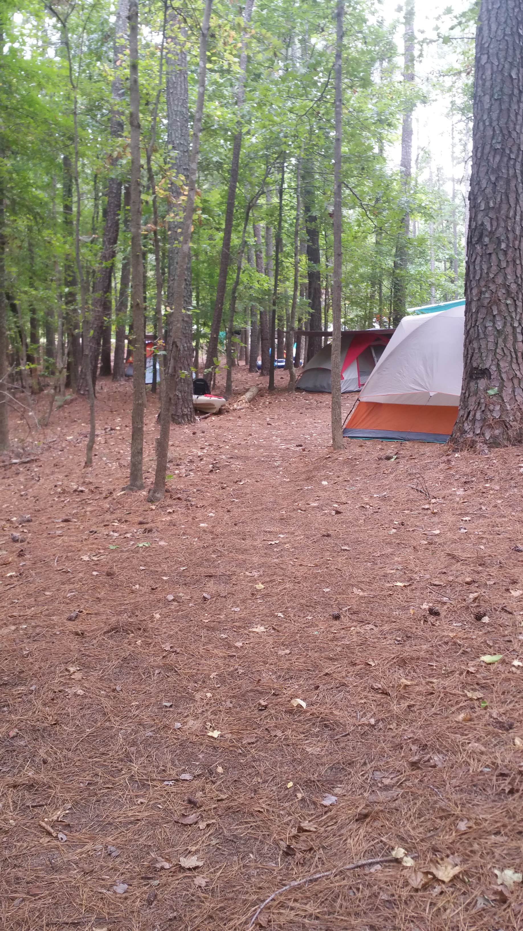 Camper submitted image from Rolling View — Falls Lake State Recreation Area - 4
