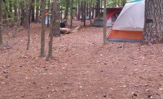 Sarah L.'s photo at Rolling View — Falls Lake State Recreation Area near Wake Forest, NC
