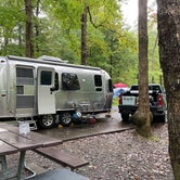 Review photo of Cades Cove Campground by Ginney M., October 11, 2020