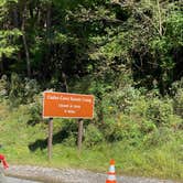 Review photo of Cades Cove Campground by Ginney M., October 11, 2020