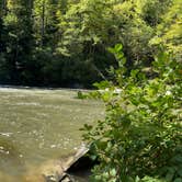 Review photo of Cades Cove Campground by Ginney M., October 11, 2020