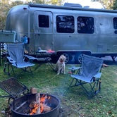 Review photo of Julian Price Park Campground — Blue Ridge Parkway by Ginney M., October 11, 2020