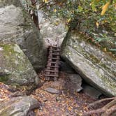 Review photo of Julian Price Park Campground — Blue Ridge Parkway by Ginney M., October 11, 2020