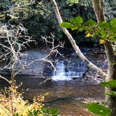 Review photo of Julian Price Park Campground — Blue Ridge Parkway by Ginney M., October 11, 2020