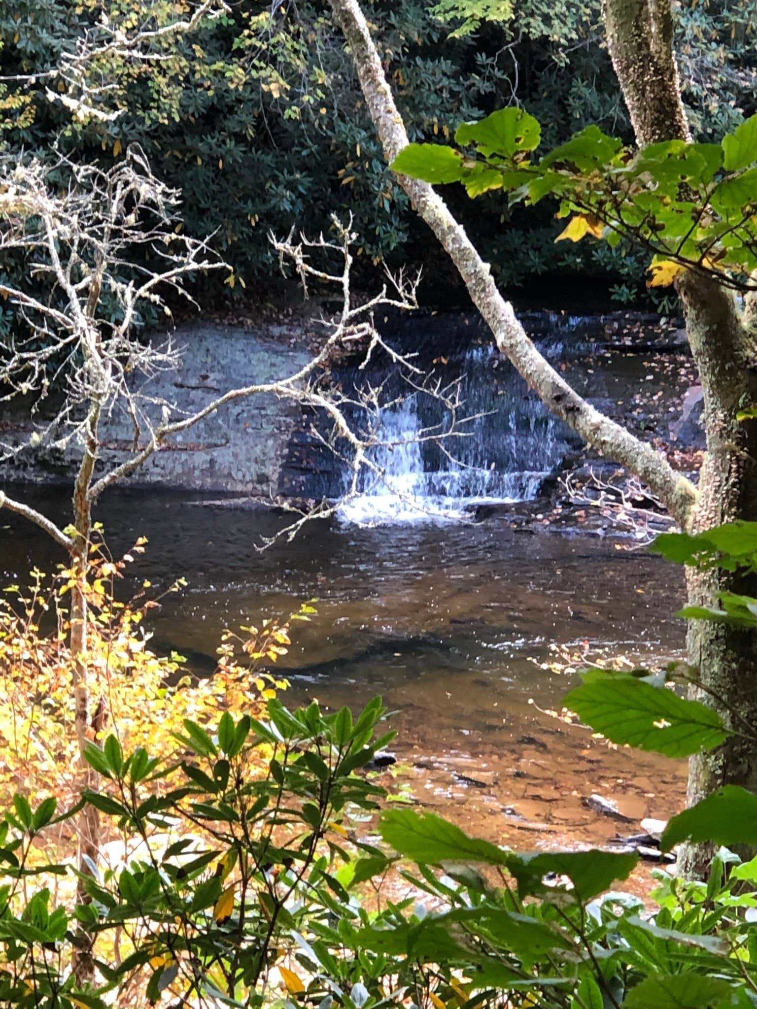 View All