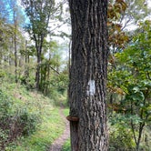 Review photo of Loft Mountain Campground — Shenandoah National Park by Ginney M., October 11, 2020