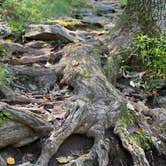 Review photo of Loft Mountain Campground — Shenandoah National Park by Ginney M., October 11, 2020