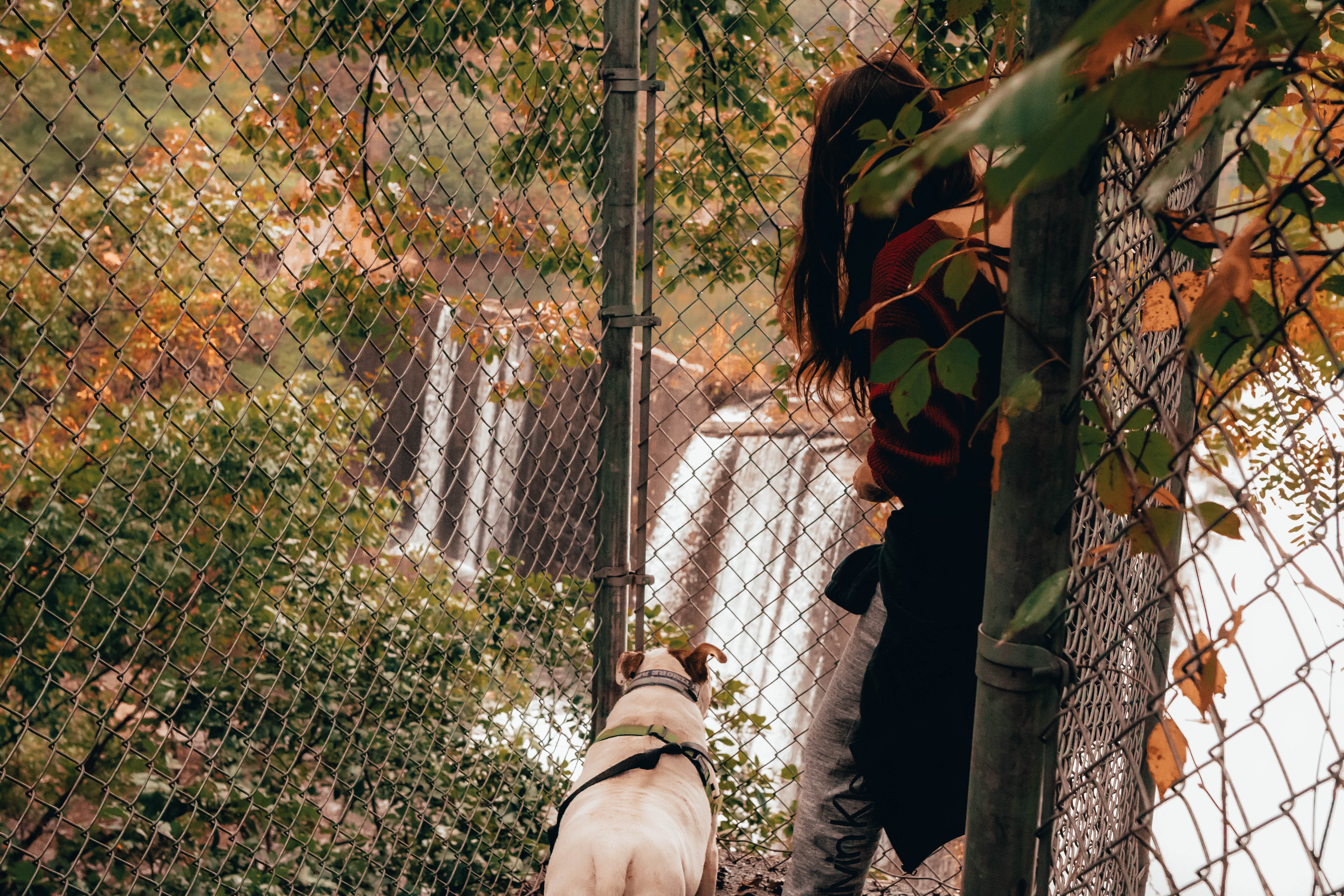 Lorena M.'s photo of camping with pets at Lake Powhatan — National Forests In North Carolina near Lake Junaluska, NC