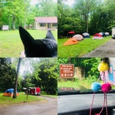 Review photo of Maple Springs Campground — Mammoth Cave National Park by Shelly S., May 20, 2018