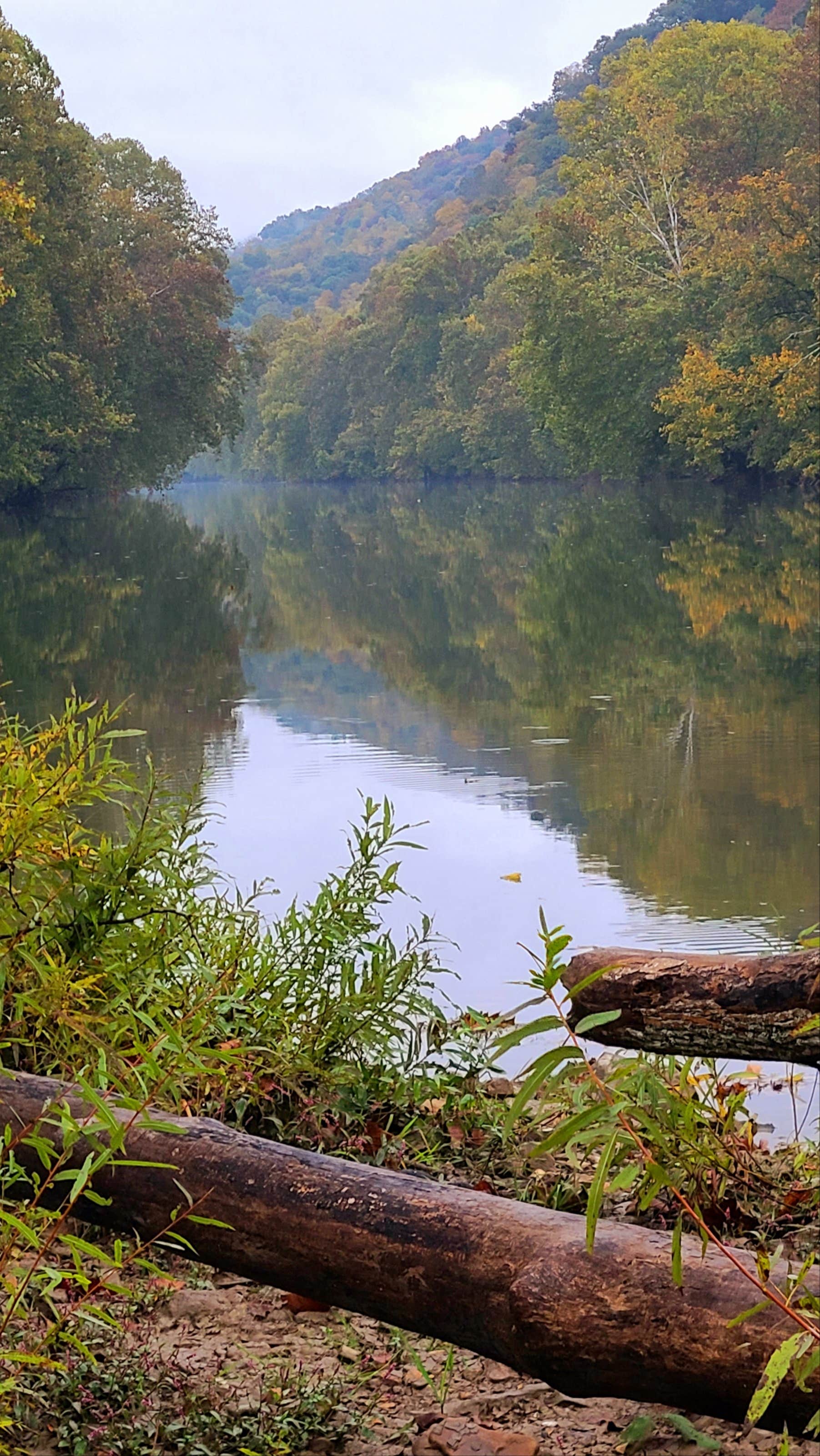 Clinch River Family Campground Camping