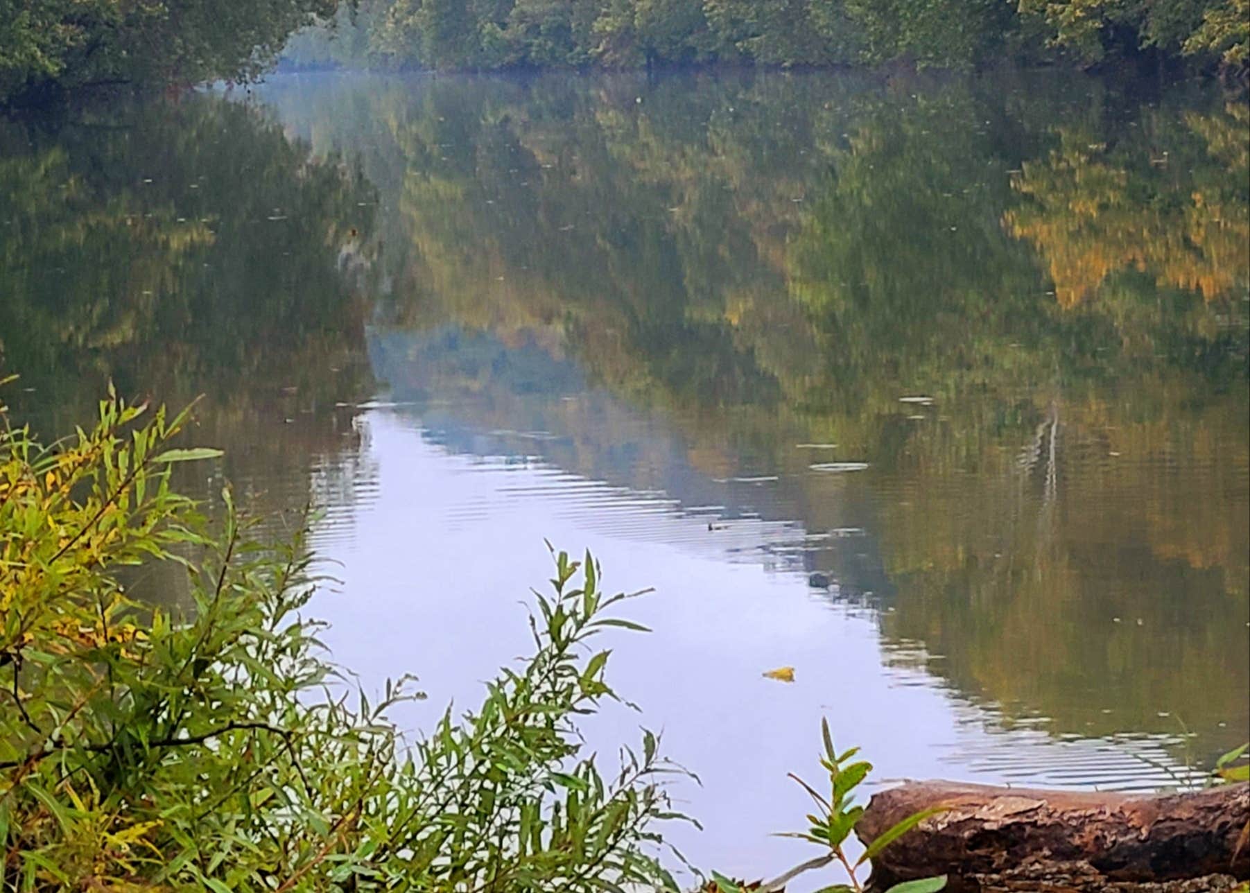 Clinch River Family Campground Camping