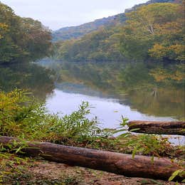 Clinch River Family Campground