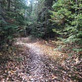 Review photo of Trail's End Campground by Jennifer H., October 11, 2020