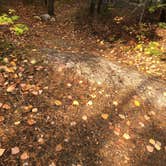 Review photo of Trail's End Campground by Jennifer H., October 11, 2020