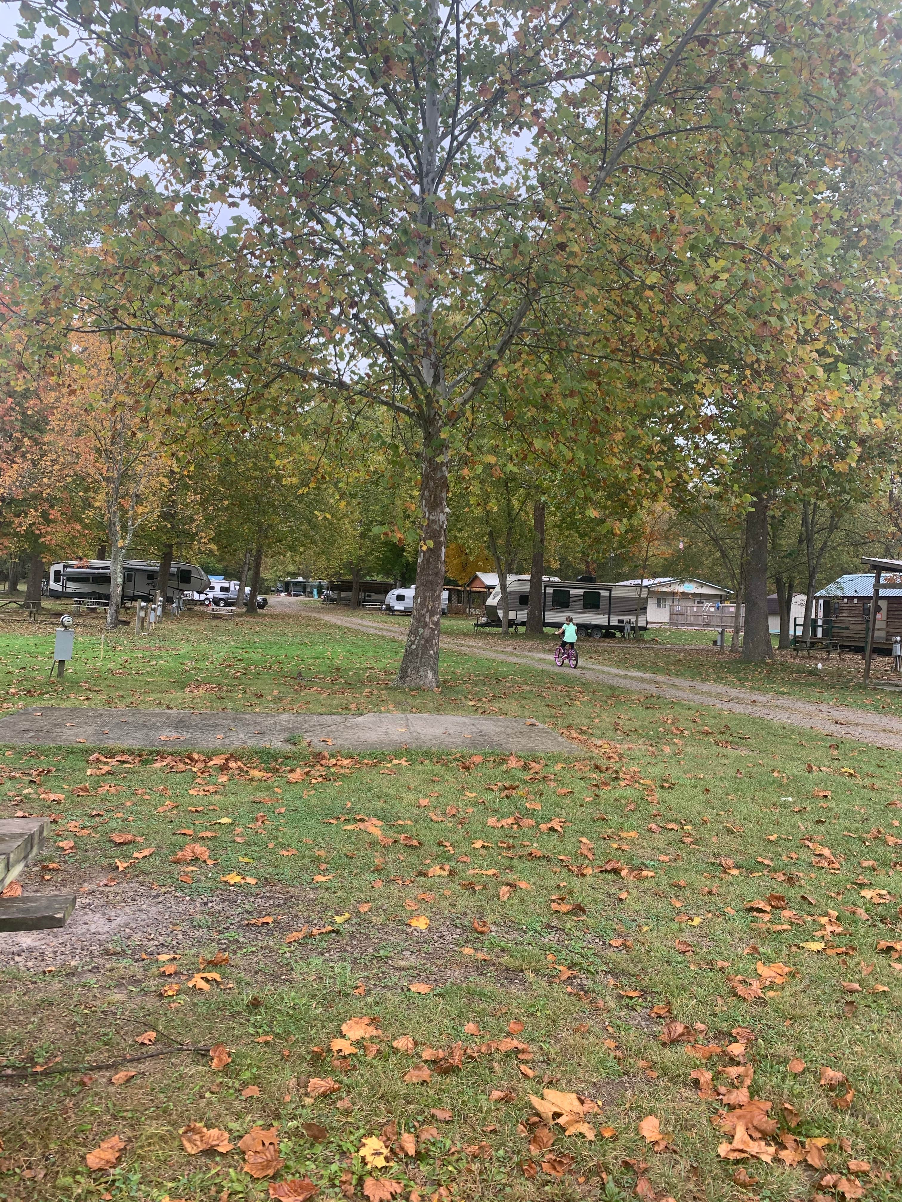 Big Sycamore Family Campground The Dyrt