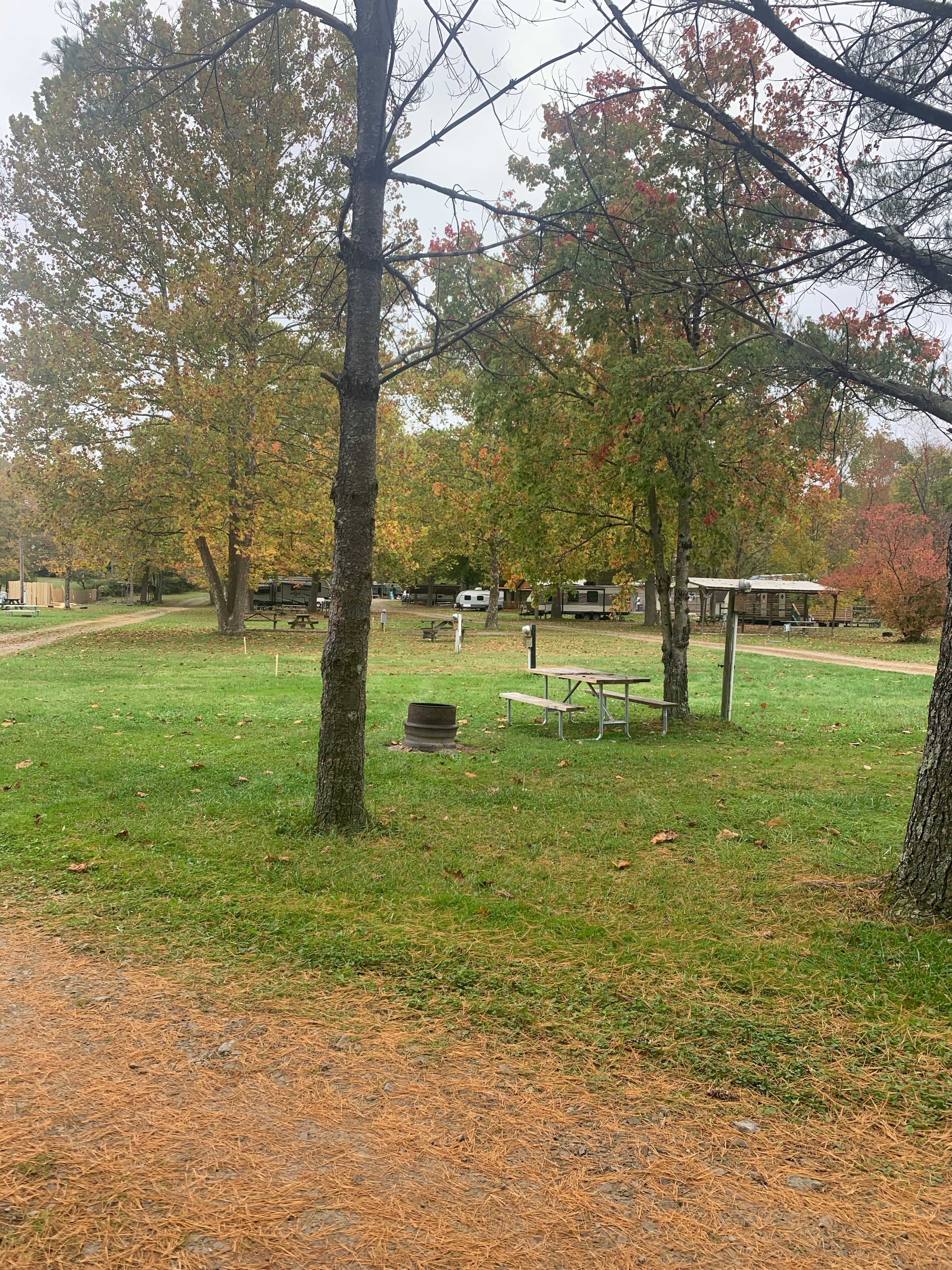 Camper submitted image from Big Sycamore Family Campground - 4