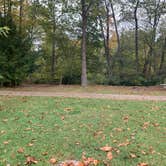 Review photo of Big Sycamore Family Campground by Amber R., October 11, 2020