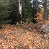 Review photo of Trail's End Campground by Jennifer H., October 11, 2020