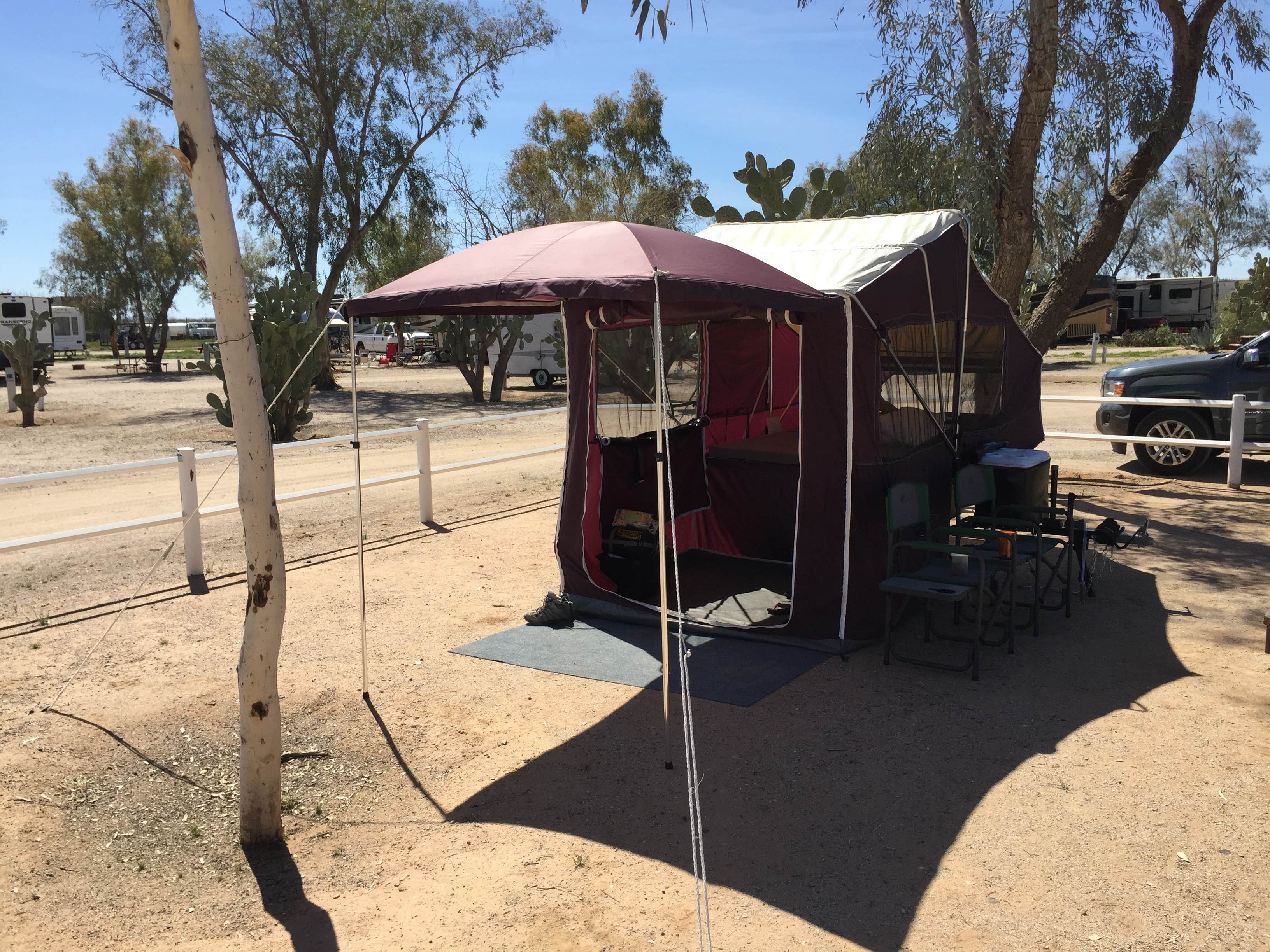 Camper submitted image from Picacho-Tucson NW KOA - 3