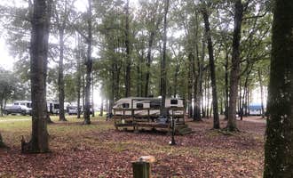 Camping near Goose Creek State Park Campground: Riverside Campground, Swan Quarter, North Carolina