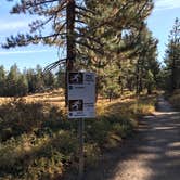 Review photo of Chula Vista Campground at Mt. Pinos by John B., October 11, 2020