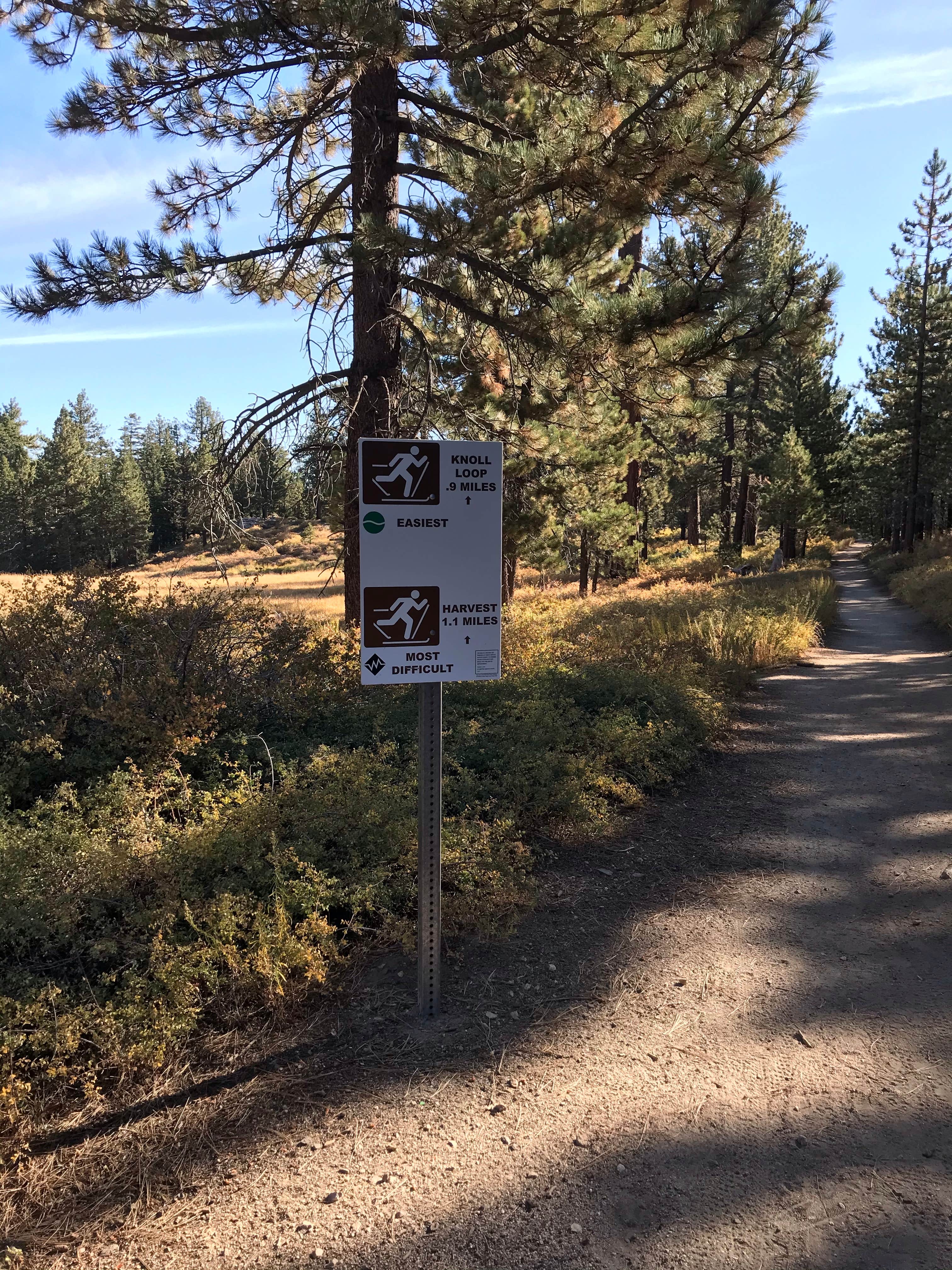 Camper submitted image from Chula Vista Campground at Mt. Pinos - 4