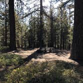 Review photo of Chula Vista Campground at Mt. Pinos by John B., October 11, 2020