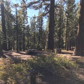 Review photo of Chula Vista Campground at Mt. Pinos by John B., October 11, 2020