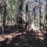 Review photo of Chula Vista Campground at Mt. Pinos by John B., October 11, 2020