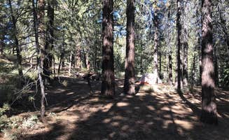 John B.'s photo at Chula Vista Campground at Mt. Pinos near Frazier Park, CA