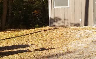 Lydia T.'s photo of a cabin at Bay City State Park Campground near Au Gres, MI