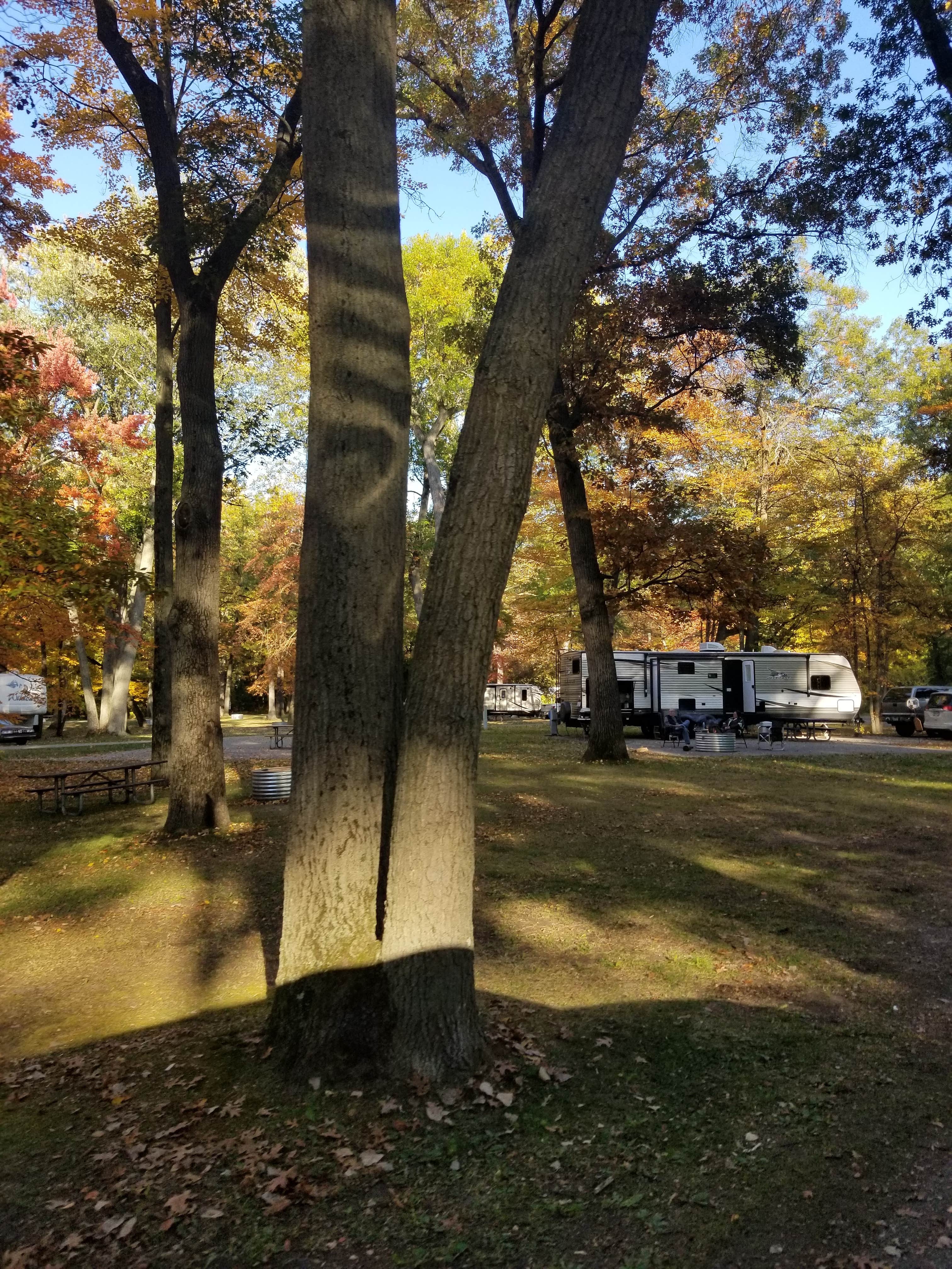Lydia T.'s photo of rv camping at Bay City State Park Campground near Auburn, MI