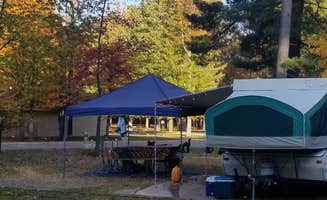 Lydia T.'s photo of rv camping at Bay City State Park Campground near Ashley, MI