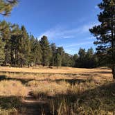 Review photo of Chula Vista Campground at Mt. Pinos by John B., October 11, 2020