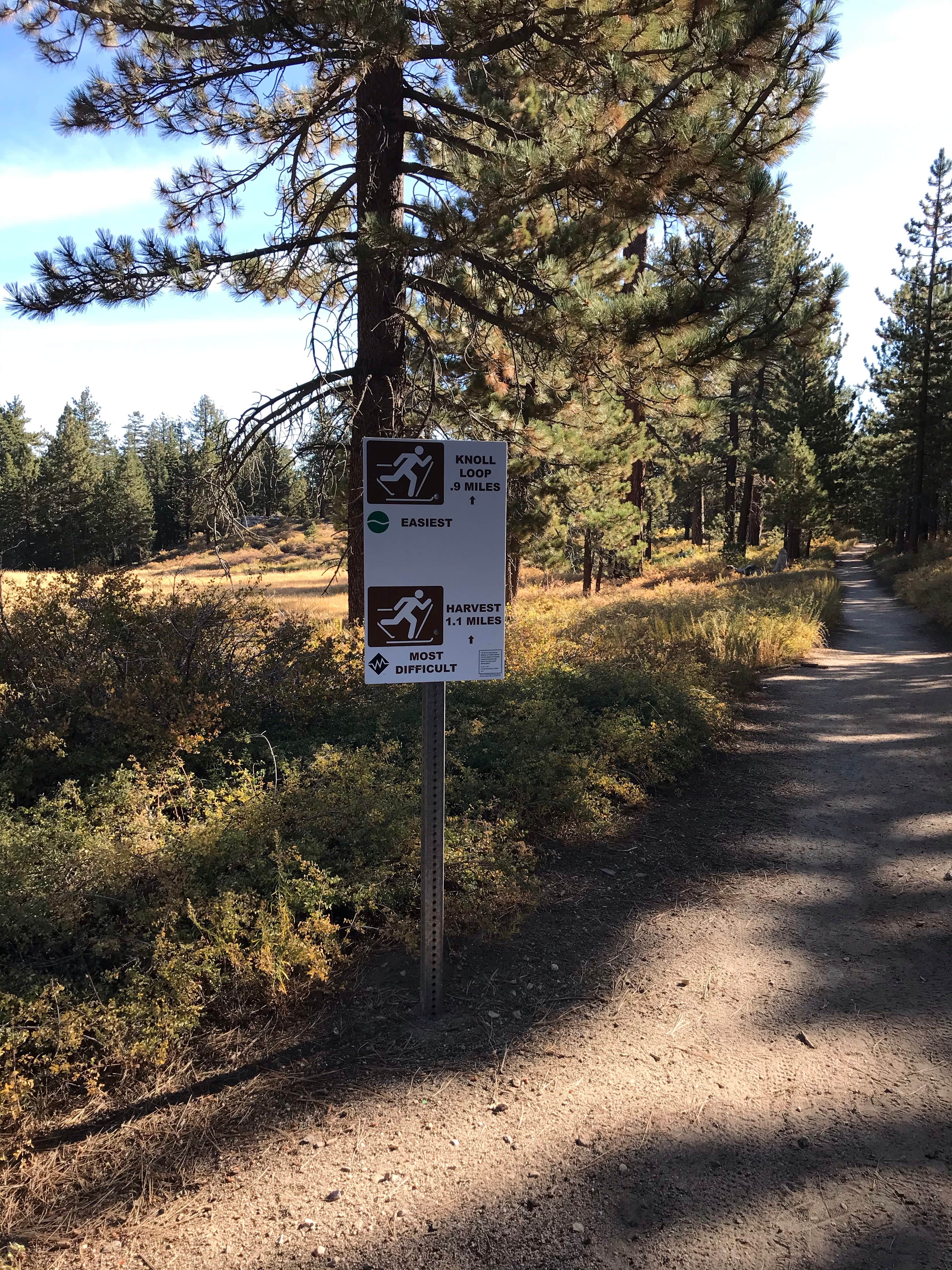Camper-submitted photo at Chula Vista Campground at Mt. Pinos near Frazier Park, CA