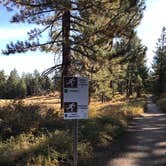 Review photo of Chula Vista Campground at Mt. Pinos by John B., October 11, 2020