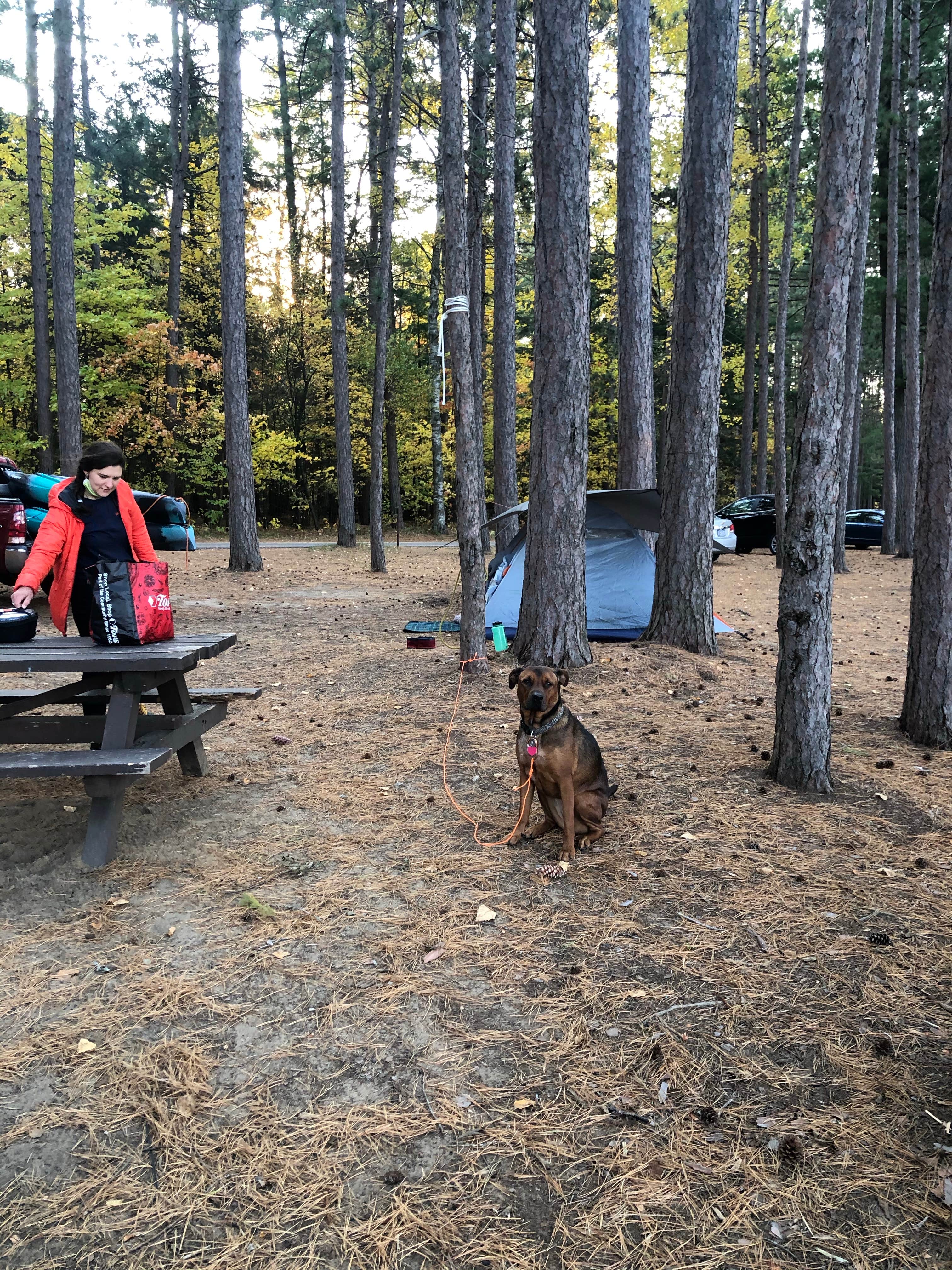 Lena L.'s photo at Fish Creek Pond Campground near Winthrop, NY