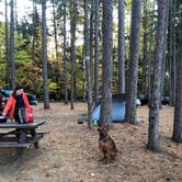 Review photo of Fish Creek Pond Campground by Lena L., October 11, 2020