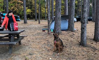 Lena L.'s photo at Fish Creek Pond Campground near Loon Lake, NY
