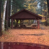 Review photo of Fish Creek Pond Campground by Lena L., October 11, 2020