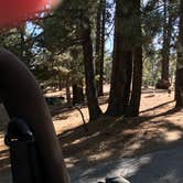 Review photo of Mt. Pinos Campground by John B., October 11, 2020