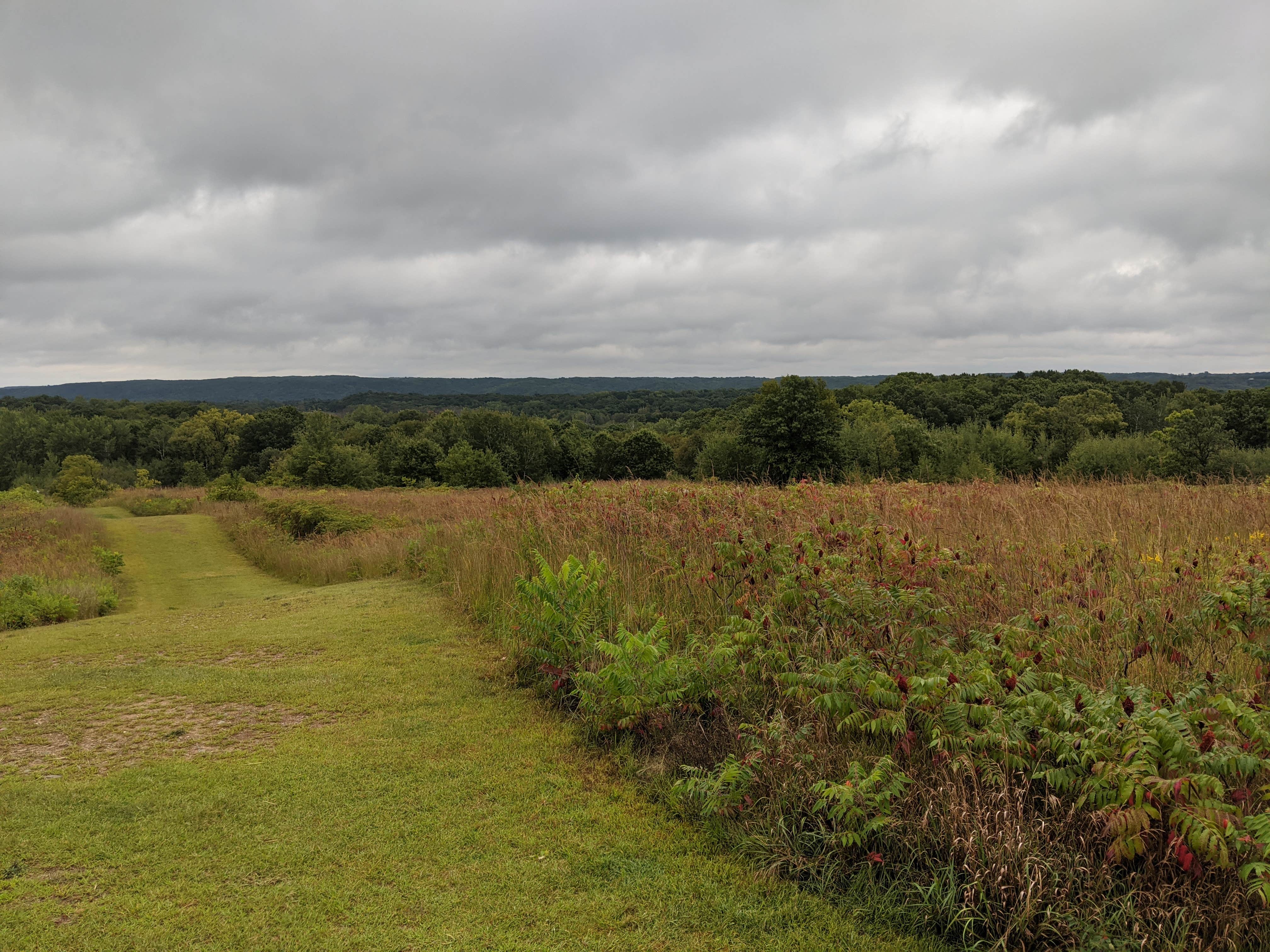 Camper-submitted photo at William O'Brien State Park Campground near Saint Croix National Scenic River