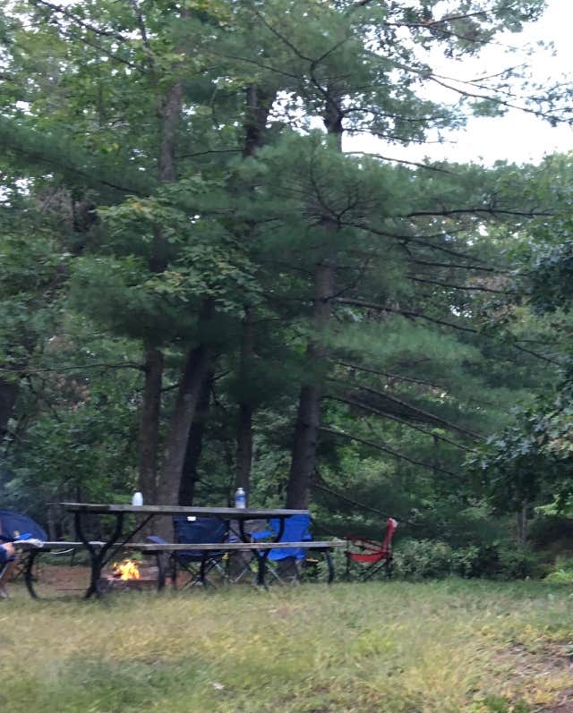Camper-submitted photo at Apple River County Park Campground near Amery, WI
