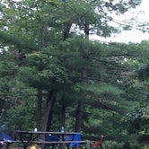 Review photo of Apple River County Park Campground by Janet R., October 11, 2020