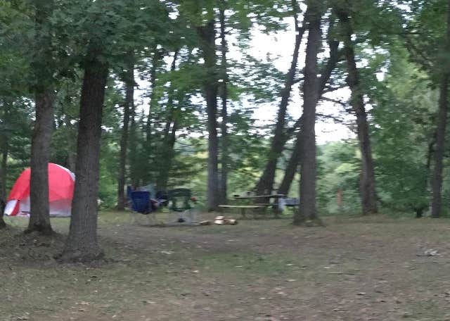 Camper submitted image from Apple River County Park Campground - 3