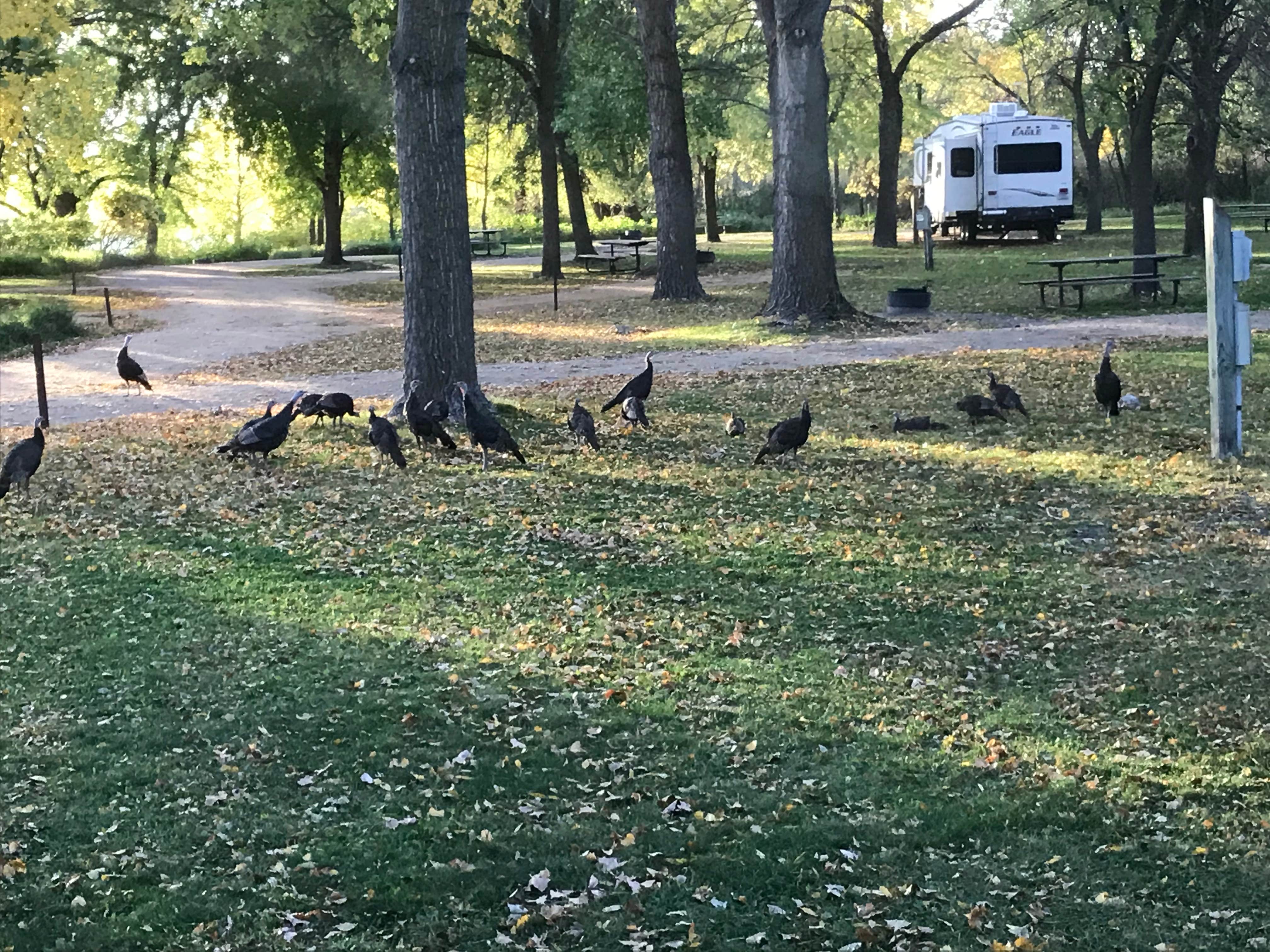 Camper-submitted photo at Big Stone Lake State Park Campground near Corona, SD