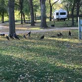 Review photo of Big Stone Lake State Park Campground by Jeff G., October 11, 2020