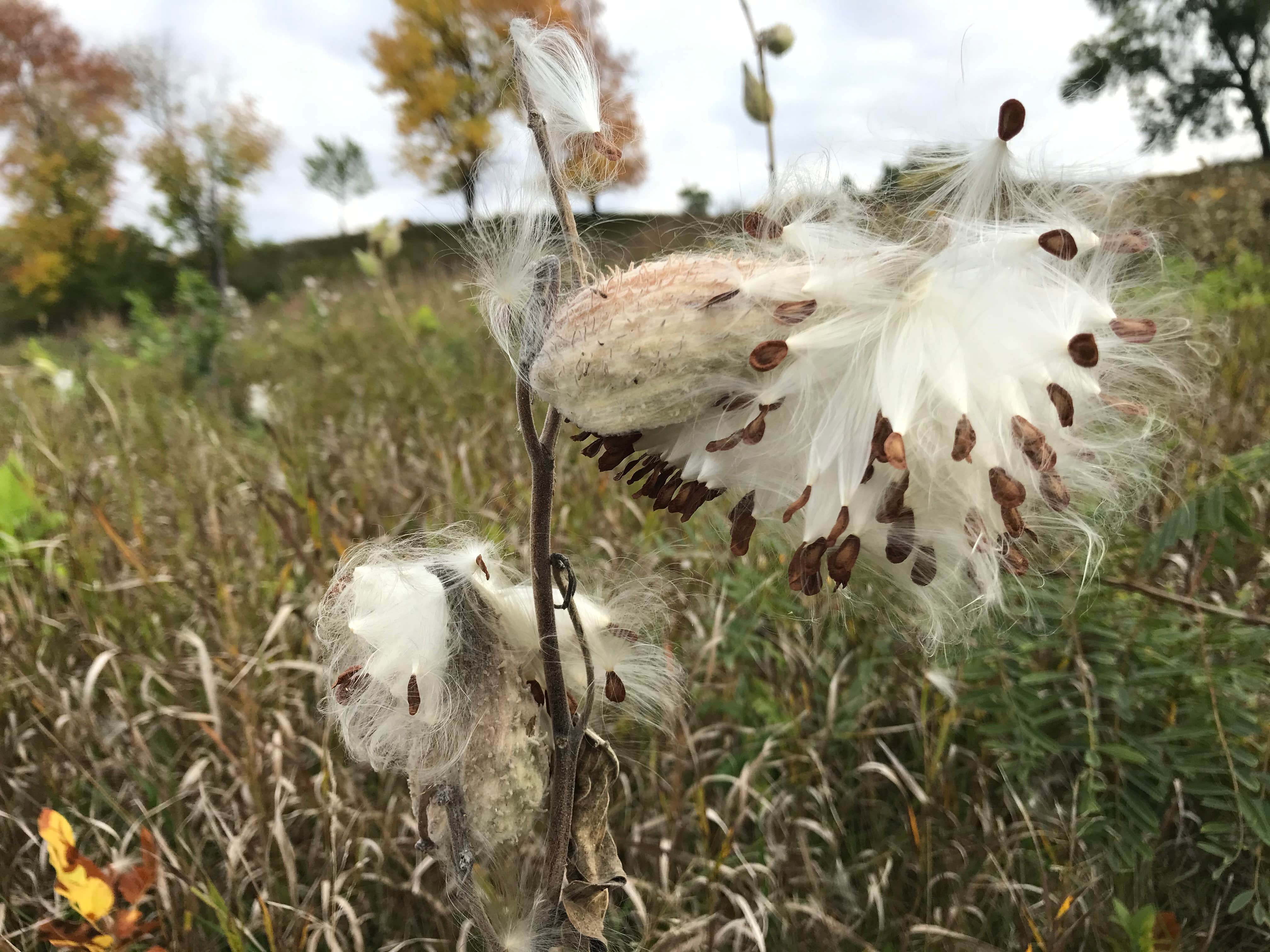 Camper-submitted photo at Big Stone Lake State Park Campground near Corona, SD