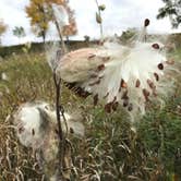 Review photo of Big Stone Lake State Park Campground by Jeff G., October 11, 2020