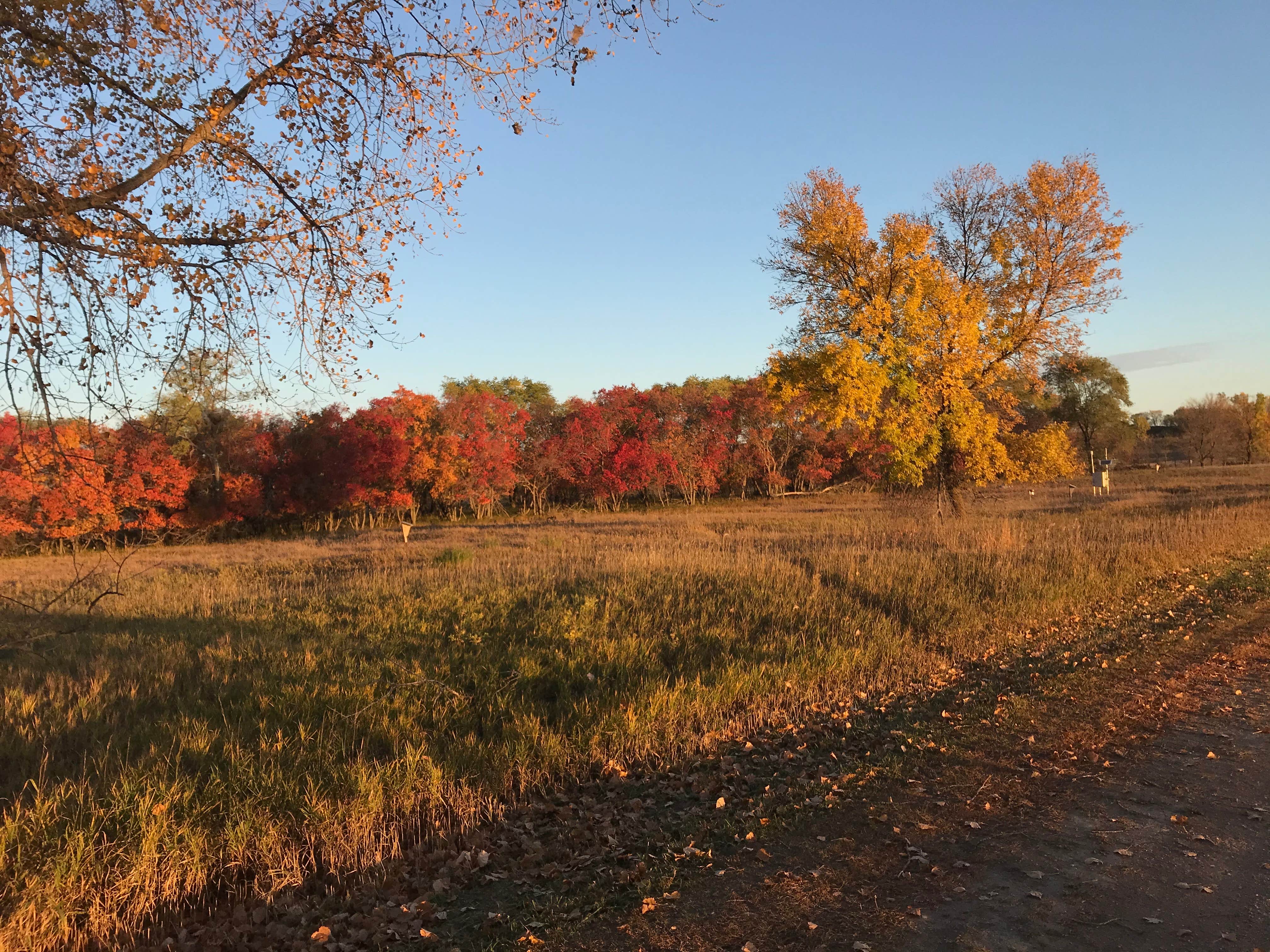 Camper-submitted photo at Big Stone Lake State Park Campground near Corona, SD